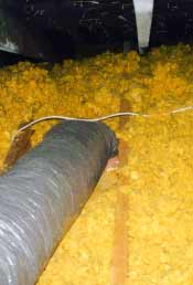 attic moisture causes black mold
