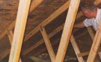 Finding mold causes