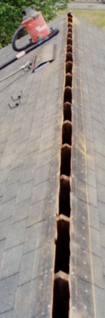Lines snapped, identifying ridge vent edges