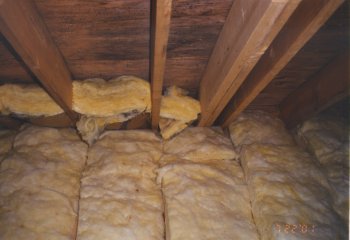 Even more black mold in a 4.5 year old house